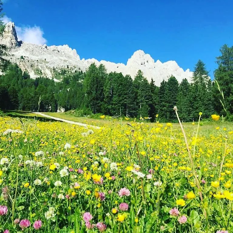 Mountain Apartment Alleghe 0*,  Italy