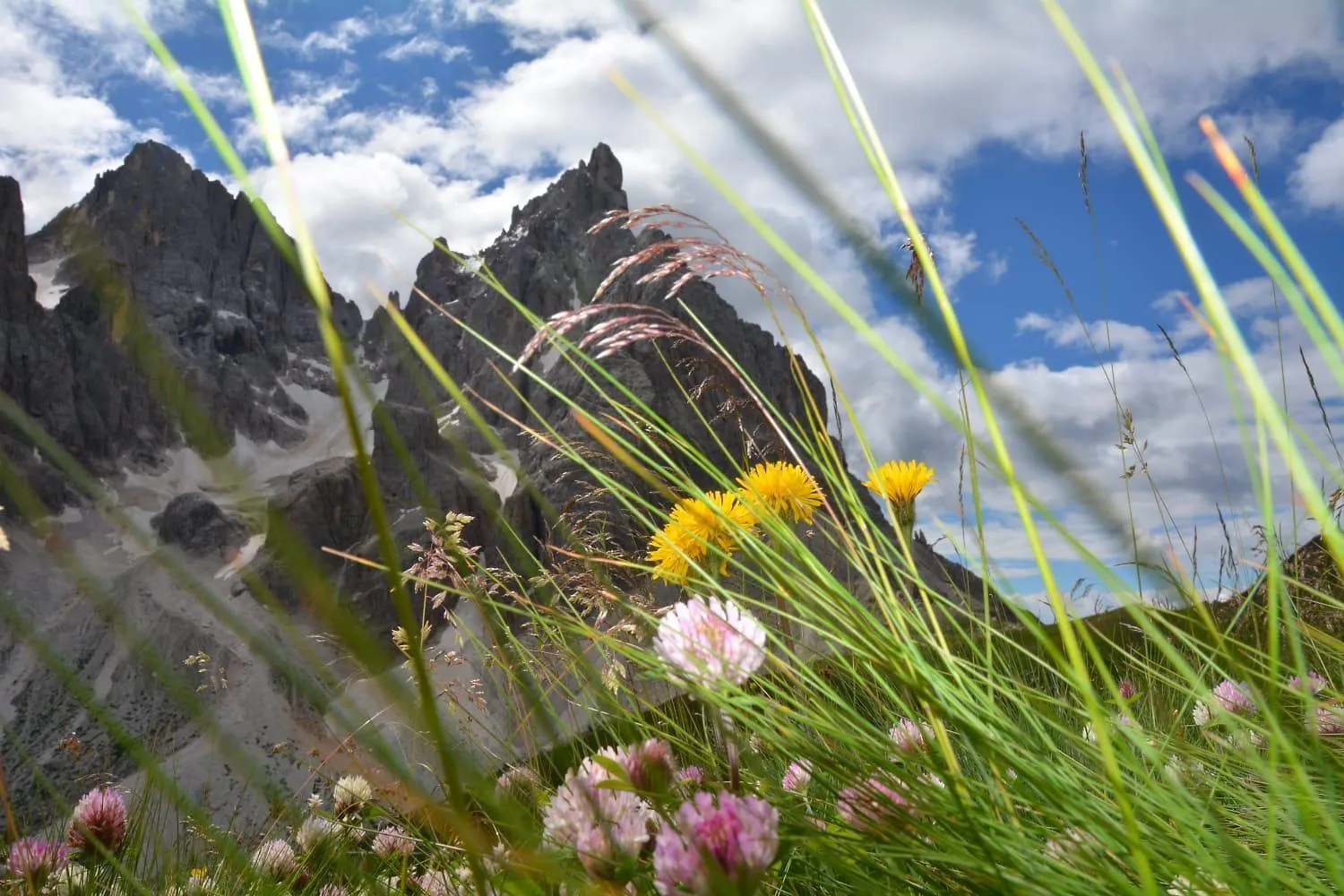 Ferienwohnung Mountain Alleghe 0*,